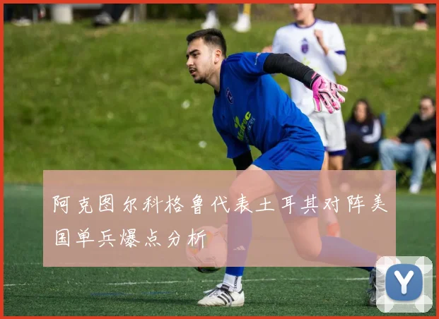 阿克图尔科格鲁代表土耳其对阵美国单兵爆点分析