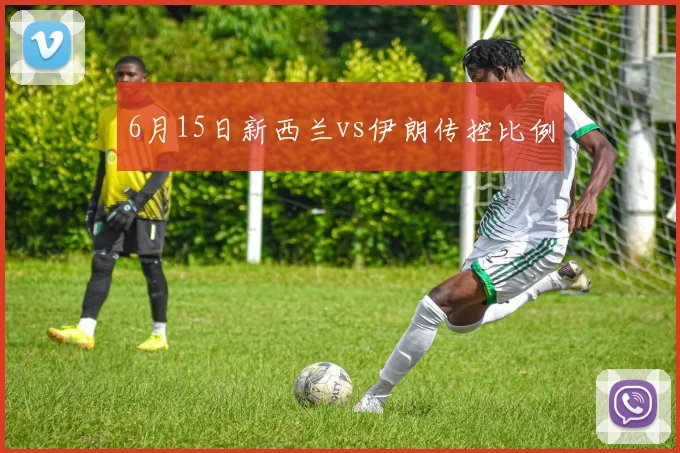 6月15日新西兰vs伊朗传控比例