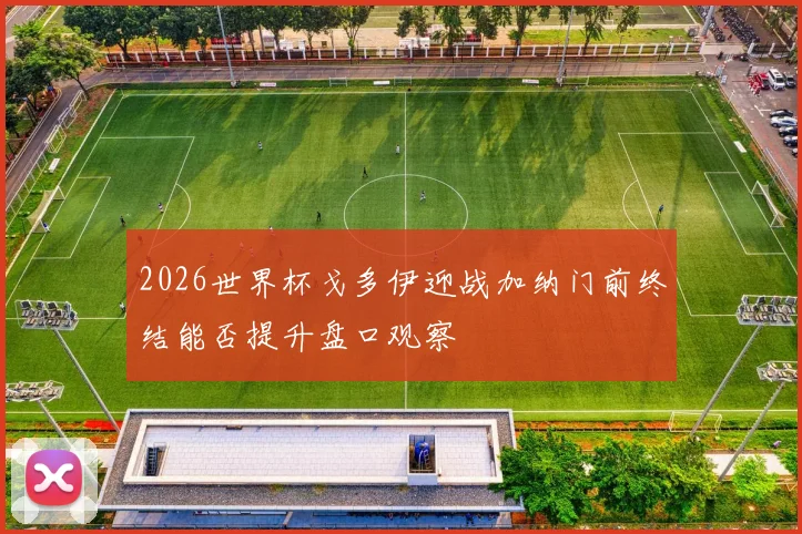 2026世界杯戈多伊迎战加纳门前终结能否提升盘口观察